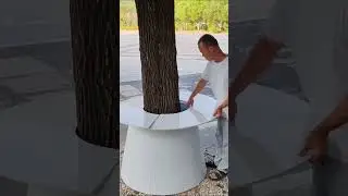 ▶️They Built a Table Around a Tree Like This on Purpose