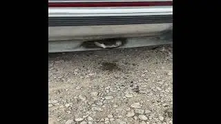 1992 Chevrolet 1/2 TON 1053 For Sale