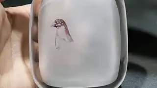 Amazing Art video world best bottale art 2019