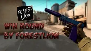 WIN ROUND by ForestLion #4K