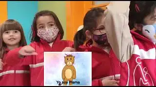 Proyecto 