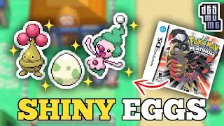 (EMU) How to RNG Manipulate for Shiny Eggs in Pokémon Platinum