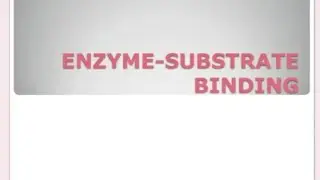 Enzym-Substrate Binding
