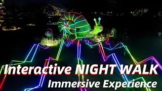 Interactive Night Walk: Magical 3D Light Art & Hologram Adventure in the Forest!