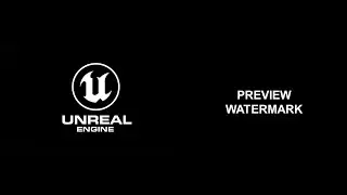 How to Remove Preview Permanently On Unreal Engine 5/UE5
