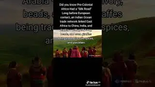 Did you know Pre-Colonial Africa Had a &ldquo;Silk Road&rdquo;#africanhistory #indoafrican #economicties #shift