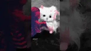sad story 😭 #reel #crying #sad #love #lovesong #dolls #doll #cat #sadstatus #short #reel #shorts