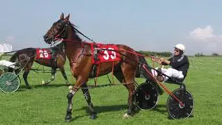 SYNOD INN HARNESS RACES 2018 NOVICE FINAL