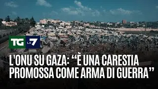 L'Onu su Gaza: “È una carestia promossa come arma di guerra”