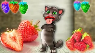 Talking TOM Billu eating colourful stroberi 🐈🐈/ talking TOM cartoon #mkbillu #SBBillu #Billucomedy