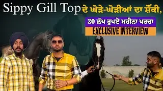 A day With Sippy Gill , Horse Riding , New Punjabi Movie Gangland 2025 #sippy_gill #sippygill