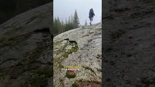 Pirin Mountain River Prestene Water Stream Forest Grove- adventure hiking nature in Bulgaria