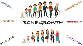 BONE GROWTH - LONGER & THICKER BONES | INTERSTITIAL & APPOSITIONAL GROWTH | FACTORS AFFECTING GROWTH