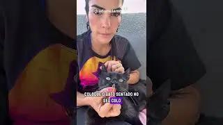 Suplemento Alimentar Ograx 30 c&aacute;psulas para Gatos - FONSECA PETSHOP