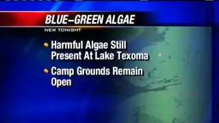 Blue Green Algae Warning Reamins In Effect