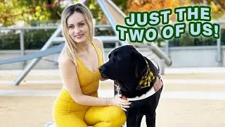 My First Week Home ALONE w/ My New Guide Dog!