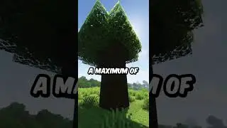 Самый большой тип дерева в Minecraft