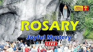 🔴 LIVE -26-01-2026 @ Holy Rosary from Lourdes Grotto | Joyful Mystery | Holy Cross Tv