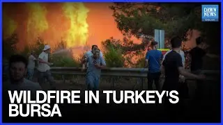 Firefighters, Locals Battle Wildfire In Turkey's Bursa Province For Third Day | Dawn News English