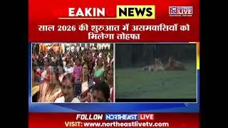Assam: PM Modi to Lay Foundation Stone for Kaziranga Elevated Corridor in Jan 2026