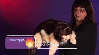 Folkmanis&reg; Ragdoll Cat Puppet Demo