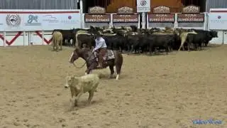 Cougarace shown by Cullen Chartier 2016 NCHA Super Stakes