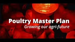 Digital Summit on the Poultry Master Plan