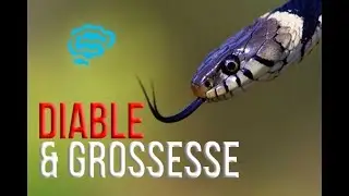 🔴 EXPLICATION TRES CLAIRE + QCM DIABETE ET GROSSESSE ! - DR ASTUCE
