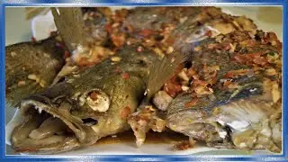 Судак на пару, Очень вкусно, полезно, просто!  рецепты Китайской кухни, Asian Food,рыба на пару,