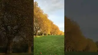 Autumn Scene in the UK