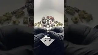 Dummy 13 build with the custom bull armor found on maker world. #TimeLapse #3-DPrinting #Dummy13.