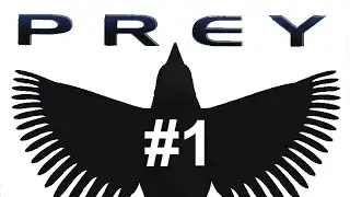 Crude Oil plays Prey 2006: part 1