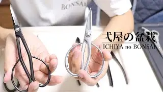 弌屋の鋏の使い分け(盆栽未経験・初心者向け)