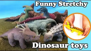 let's learn dinosaur names, 4.5-7