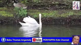 Daivathil Naam Viswasichaal Avan Krupa Nalkum... Kuttipattalam Vol 2 Song 92