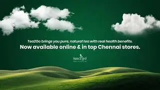 Why Handpicked Tea Leaves Matter | Tea2Go Premium Quality Promise 🍃☕