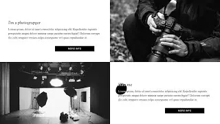 Cursor animation