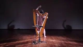 Woman, border in front of you  | Woman, harp and electronics | Adaya Godlevsky