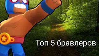 Топ 5 лучших бралеров
