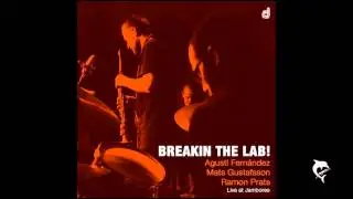 Agusti Fern&aacute;ndez/Mats Gustafsson/Ram&oacute;n Prats - Breakin the lab!