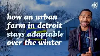 How an Urban Farm in Detroit Adapts Over the Winter