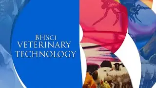 TUT Veterinary Technology: PROMO 2024