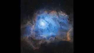 MSDMNR - Paradox [MT57]