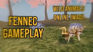 Wild Animals Online (WAO) playing as fennec with friend