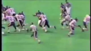 Neal Anderson Chicago Bears Highlights