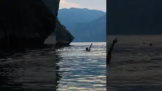 Insane Double Backflip! 🌀🌀 #DoubleBackflip #AcrobaticJump #CliffTricks #AerialStunts