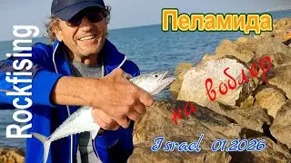Спиннинг на Средиземном.Ашкелон,Израиль.Пеламида на воблер.