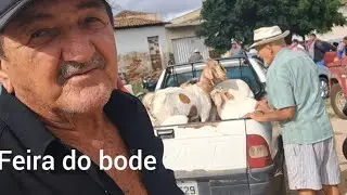 Feira do bode em Taperoá Paraíba