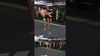 Venum Training Camp Padwork 🥊 | Muay Thai #shorts 🏆