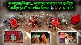 আলহামদুলিল্লাহ,, আমাদের খামারের সব প্রাণীকে